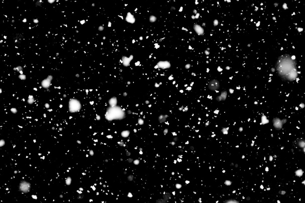 Snowfall on black background - Foto, afbeelding