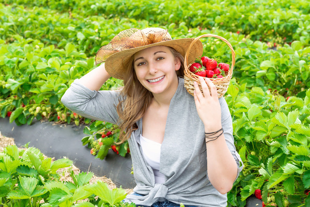 Harvesting girl on the strawberry field. - Foto, afbeelding