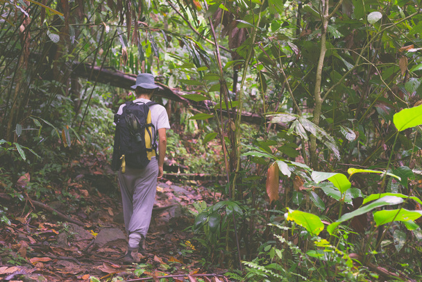 Backpacker exploring Borneo rainforest - Photo, image
