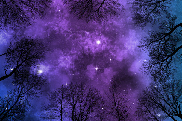 vue de bas angle de nébuleuse colorée lumineuse sur ciel étoilé, arbres creux de vue
 - Photo, image