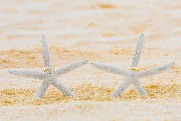 Two wedding rings with two starfish on a sandy tropical beach. W - Photo, Image