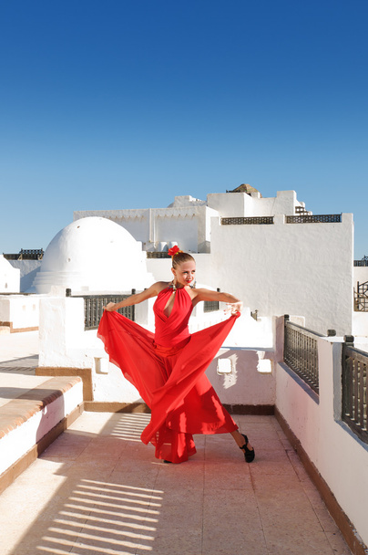 Flamenco dancer - Photo, Image
