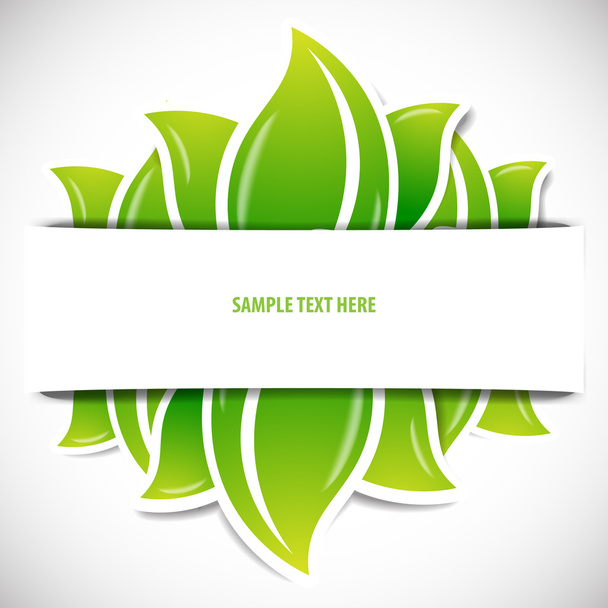 Eco Label with Leaves Background - Vector, imagen