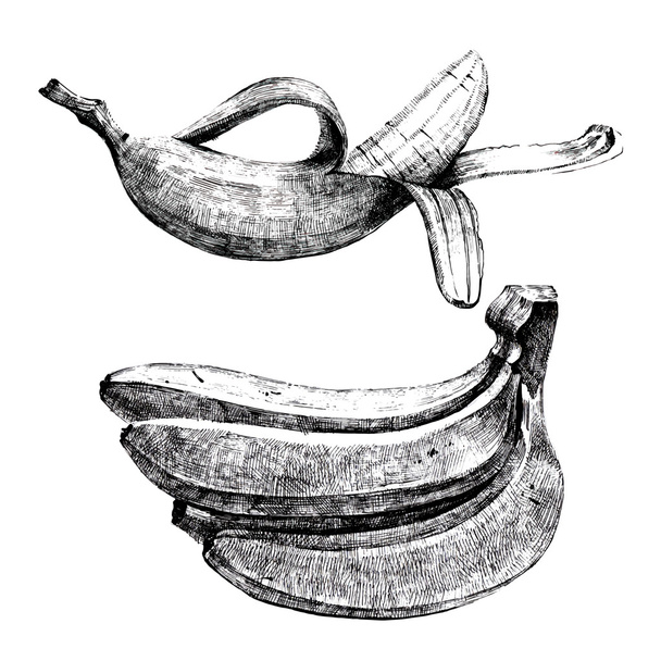 Hand drawn bananas - Διάνυσμα, εικόνα