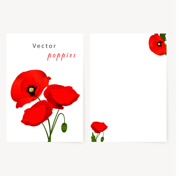 Template card with red flowers poppies - Vector, afbeelding