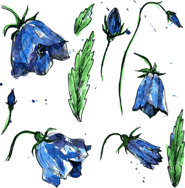 watercolor vector floral set - Vecteur, image
