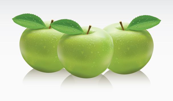 apples vector apple, art illustration vegetables - Vector, Image