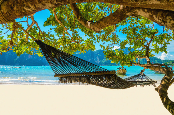 Swing roikkua kookos puu rannalla, Thaimaa
 - Valokuva, kuva