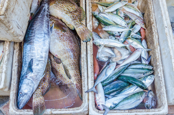 Свіжої риби на ринку, острів Таїланду - Фото, зображення