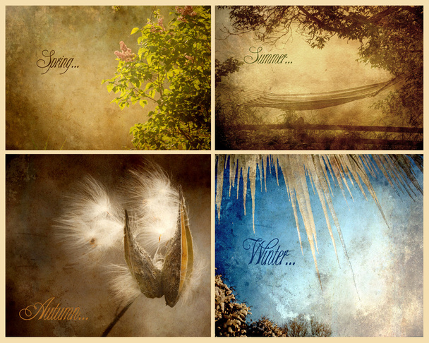 Collage delle stagioni
. - Foto, immagini