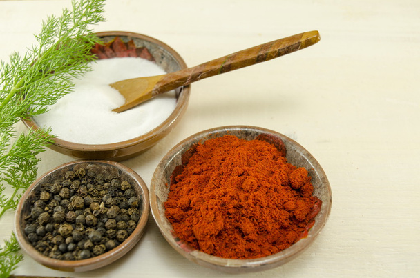 Small plates filled with black pepper, paprika and salt - Photo, Image