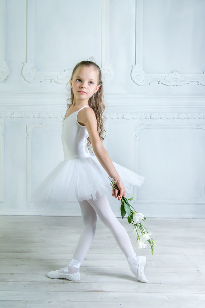 A little adorable young ballerina - Zdjęcie, obraz