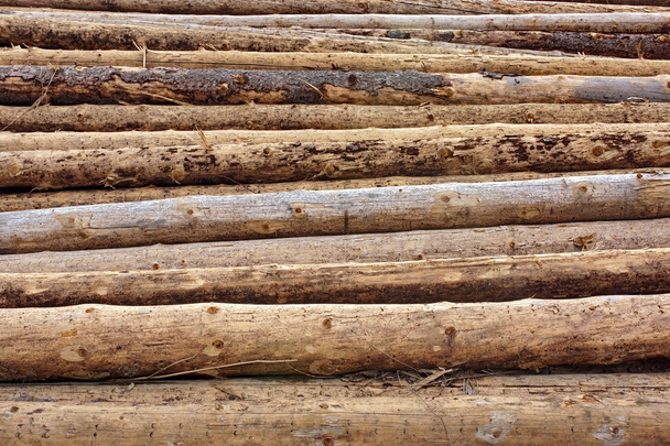 Gran pila de madera de troncos
 - Foto, Imagen