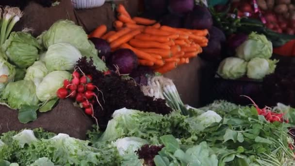 Taze sağlıklı bio rezene ve havuç Istanbul çiftçi tarım piyasasında - Video, Çekim