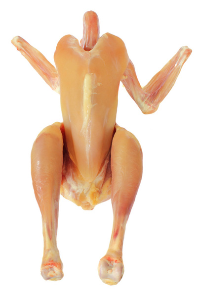 Сырая курица
 - Фото, изображение