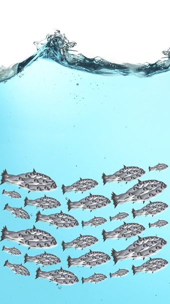 Víz alatti hal iskola - Fotó, kép