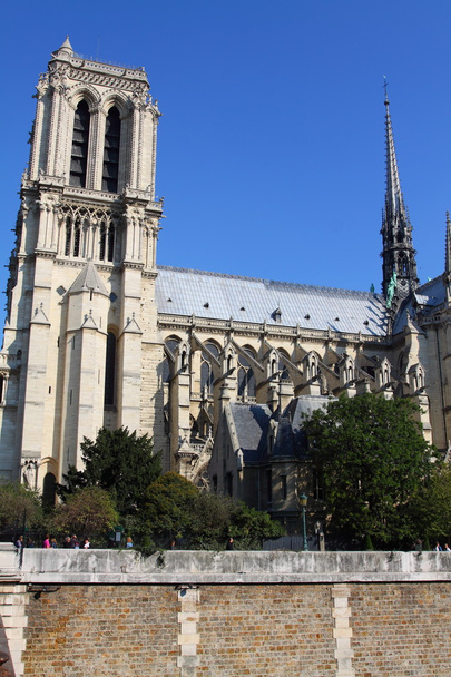 Notre dame Katedrali - paris - Fotoğraf, Görsel