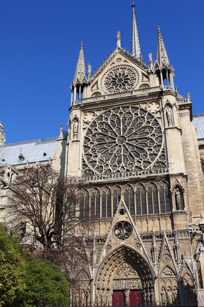 Kathedrale Notre Dame - Paris - Foto, Bild