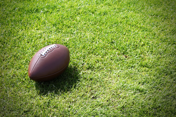 Balle de rugby sur terrain vert - Photo, image