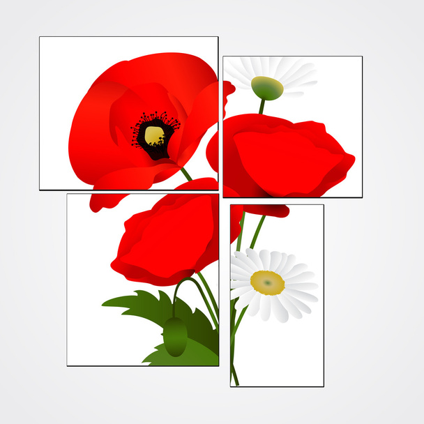 Vector white background with chamomile and poppies - Vektor, Bild