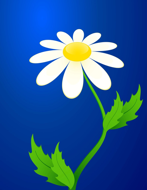 Beautiful camomile on a blue background - Vector, Image