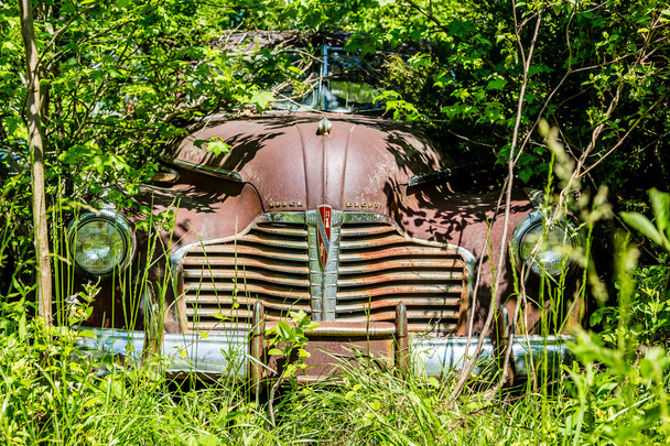 Staré auto v plevele - Fotografie, Obrázek