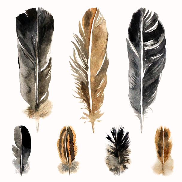 Hand drawn watercolor feathers - Vektör, Görsel
