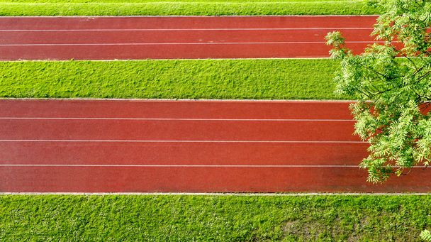 Running Track campo e grama
 - Foto, Imagem