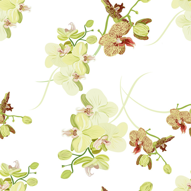 Green orchid seamless pattern - Vektör, Görsel