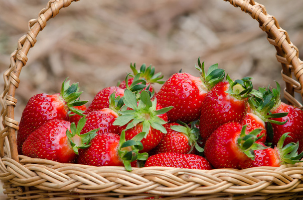 Strawberries - Foto, imagen