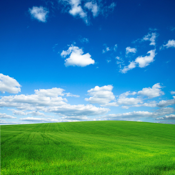 zelené pole a modrá obloha - Fotografie, Obrázek