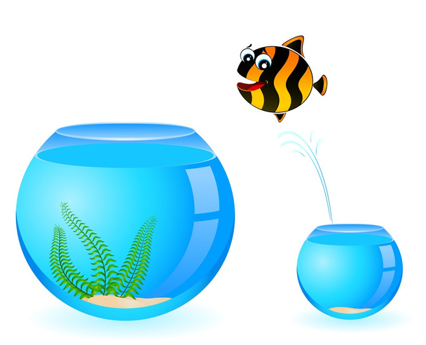 Little colorful tropical fish - Vector, Image
