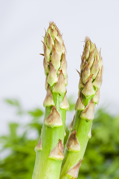 Green asparagus stalks, garden products - Foto, Bild