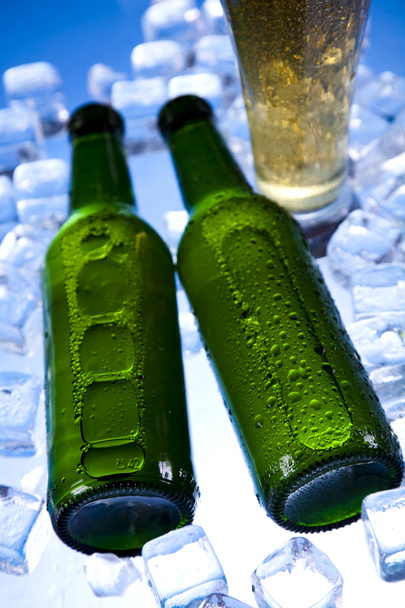 Cold beer bottle - Photo, Image