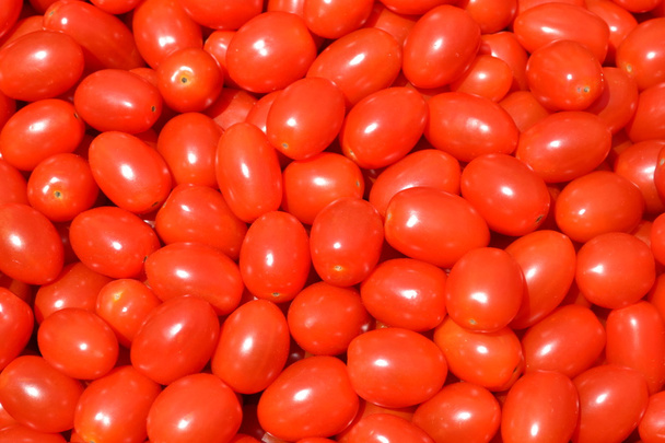 petites tomates rouges - Photo, image