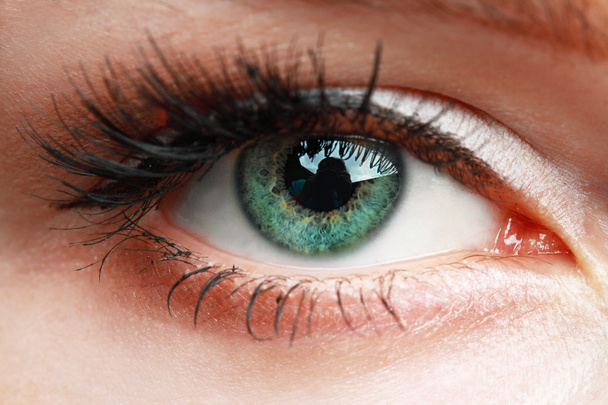 green womanish eye - Foto, Imagem