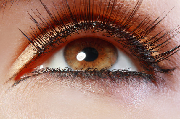 beautiful womanish eye - Foto, imagen