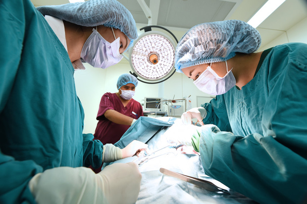 group of veterinarian surgery in operation room - Fotografie, Obrázek