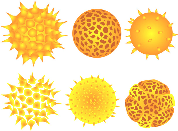 pollen - Vector, Image