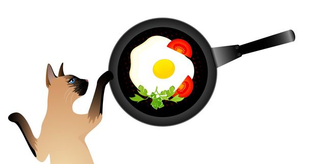 Syjamski Kot chce jeść jajka sadzone z patelni - Wektor, obraz