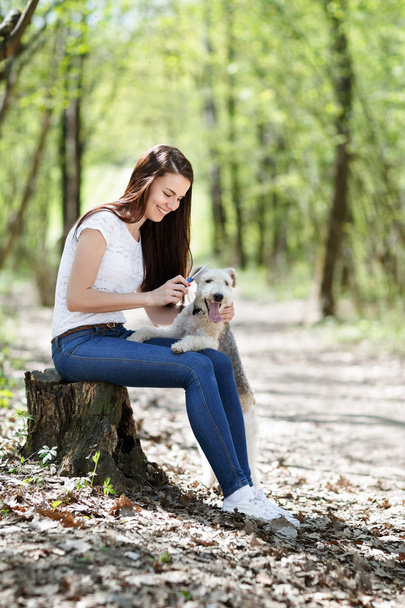 portrait of Beautiful young girl with her dogs   - Foto, afbeelding