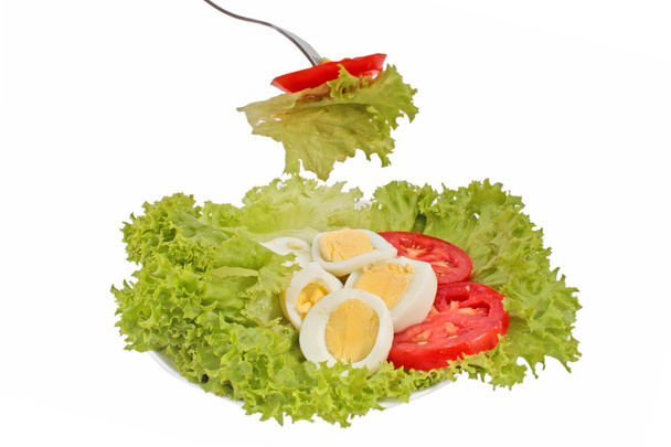 Tasty tomato and eggs salad - 写真・画像
