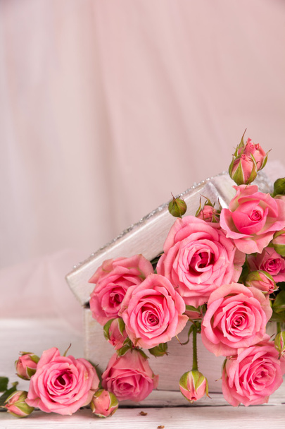 新鮮なピンクのバラ - 写真・画像