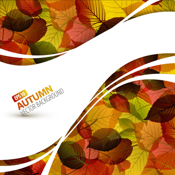 Colorful vector autumn background - Vector, Image