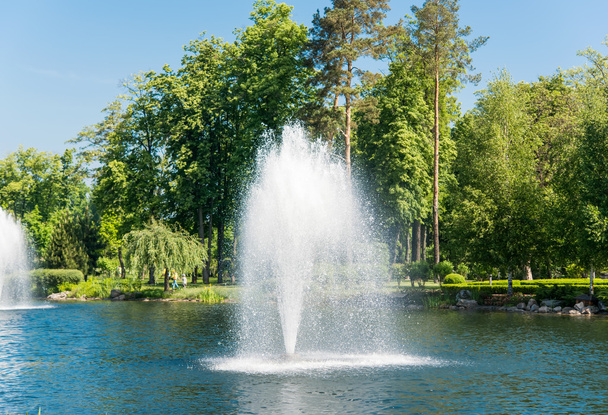 Fountain in the lake in Mezhyhiria - Foto, Bild