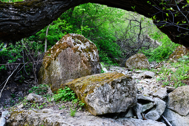 velké kameny v lese na jaře - Fotografie, Obrázek