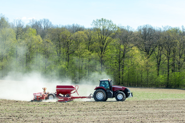 Sowing the corn - Photo, Image