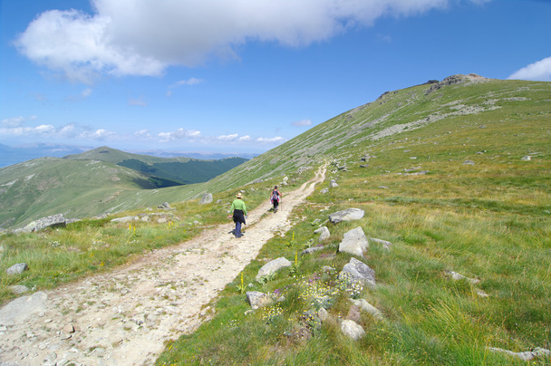 Two Hikers Along On Pelister National Park, Republic Of Macedoni - Foto, Imagen