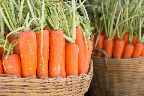 Tuoreiden porkkanoiden tausta
 - Valokuva, kuva