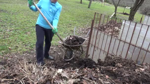 zahradník pracovní zatížení kompostu s vidličkou ve staré venkovské kolečko - Záběry, video